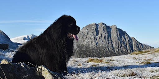 Tryfan’s North Ridge: A Guided Adventure in North Wales | Tryfan
