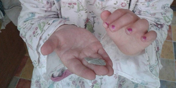 Nature Kids - Marvellous Moths and Beautiful Butterflies | Killiecrankie Visitor Centre and Jacobite Café