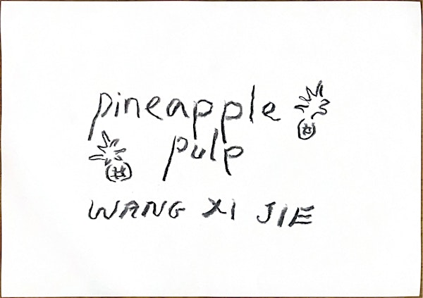 Pineapple Pulp – Paper-making As Material Archive with Wang Xi Jie | Forest Discovery Centre @ OCBC Arboretum (Workshop Room)