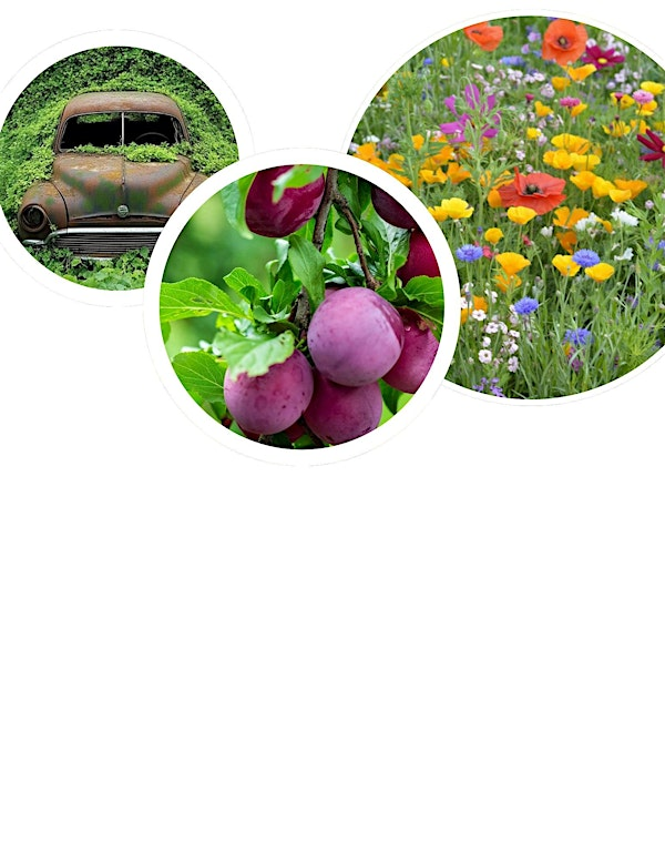 A Day In The Garden 2026: Plant Wisely, Grow Abundantly, Support Wildlife | Victoria Park East Golf Club