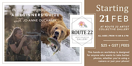 Intro to Photography: A Beginner's Guide | Route 22 Artist Collective Gallery