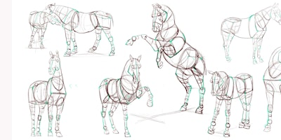Horse Drawing and Construction with Michael Rios | Swarthmore Education Centre