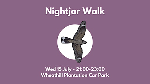 Nightjar Walk | Wheathill Plantation Car Park
