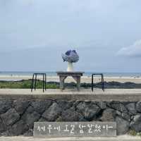제주 동쪽 힐링하기 좋은 세화해변
