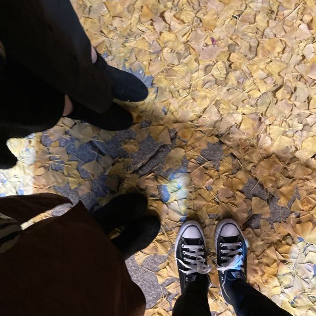 단풍으로 물든 창가, 부암동 제비꽃다방💛