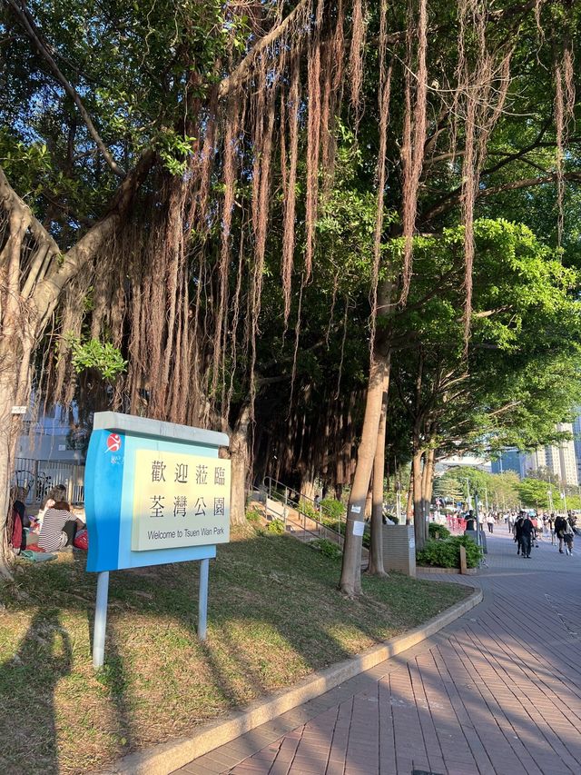 🌸荃灣公園賞花輕鬆遊🤗🌴🌳