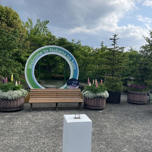 なばなの里に行ってきた🚗 ³₃
