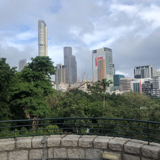公園都有個打卡瞭望台😎