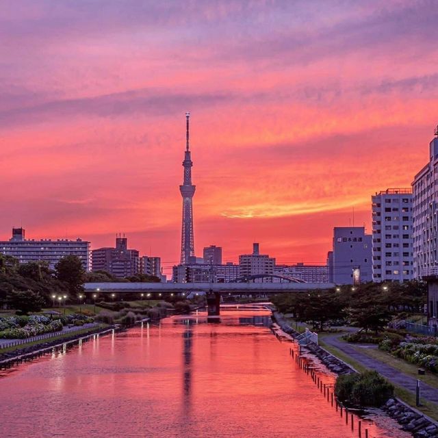 Hirai Station - Tokyo