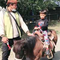 南台灣最大的野生動物園