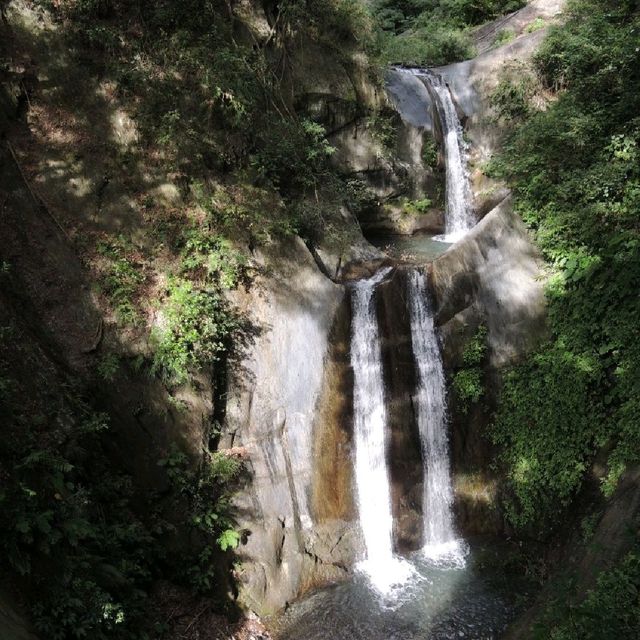 魅力森林奧萬大🌲🌲🌲