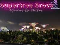 Supertree Grove 🌳 Singapore 