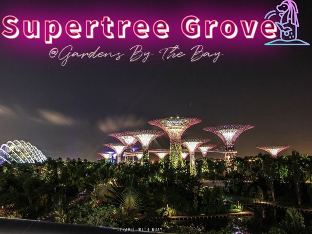 Supertree Grove 🌳 Singapore 