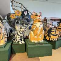 #catsnappinginkuching. 