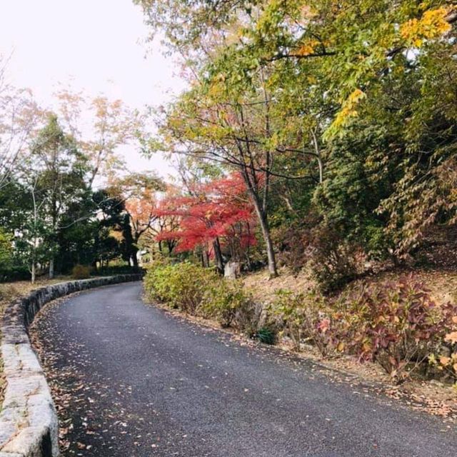 Autumn in Osaka 