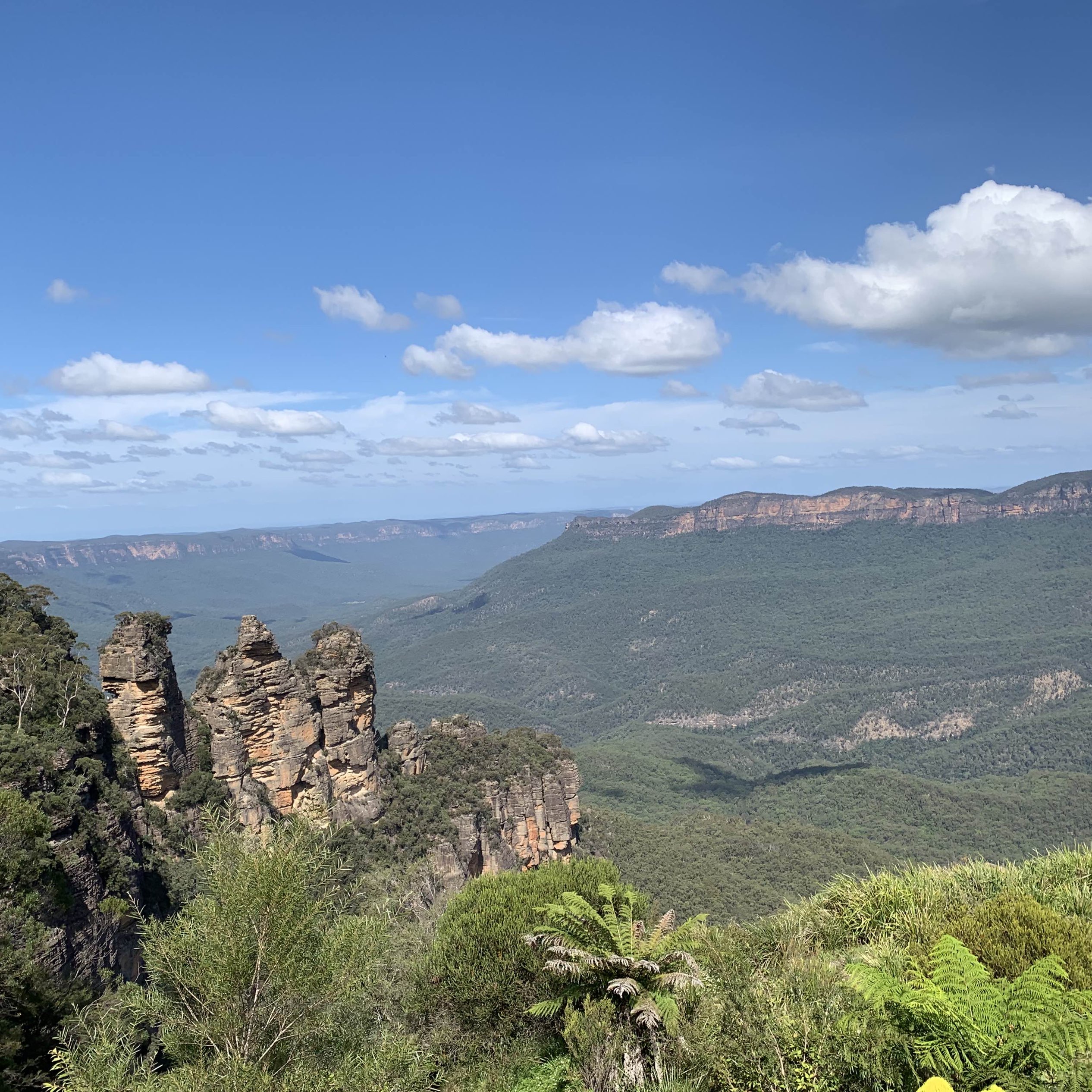 spot the 3 sisters! 
