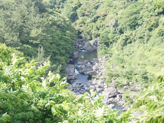 濟州島三大瀑布之一🤩