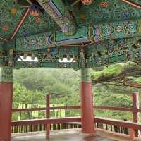 바다가 보이는 절, 낙산사🪷🌊