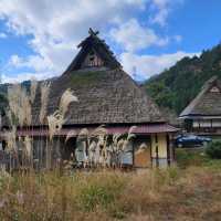 樣貌似合掌村的美山町