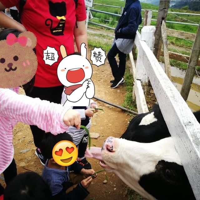 擁抱🫂大自然🎍的美💕
