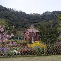 佐敦谷公園 園藝設計得非常之美麗又有特色#炎夏好去處