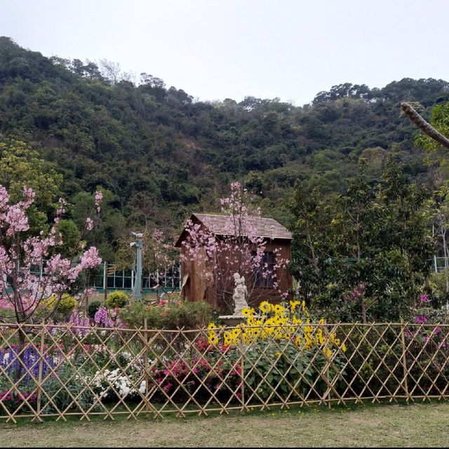 佐敦谷公園 園藝設計得非常之美麗又有特色#炎夏好去處