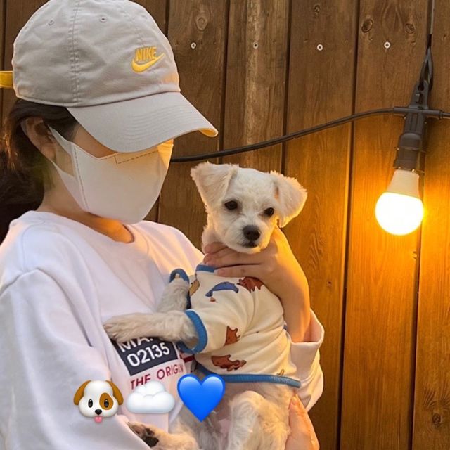 애견동반카페 🐶☕️