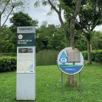 Lorong Halus wetland park 