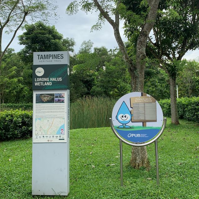 Lorong Halus wetland park 