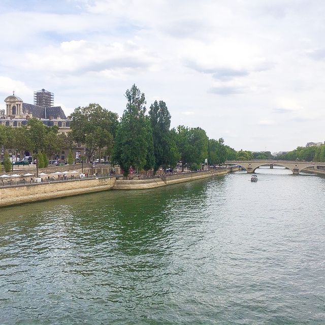웅장한 파리 노테르담 성당 🇫🇷 