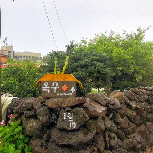 제주도의 구옥을 개조한 이색 카페, 골목카페 옥수!