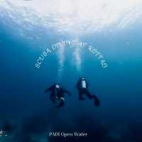 Scuba diving at Koh Tao