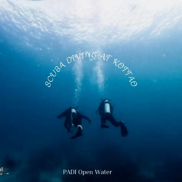 Lặn biển ở Koh Tao