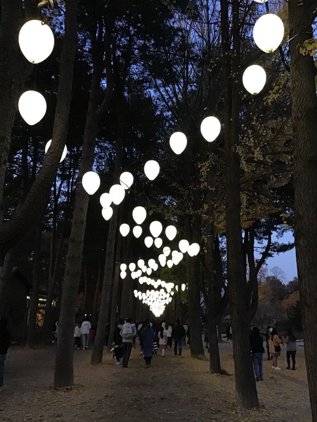 춘천 하면 남이섬이죠💖