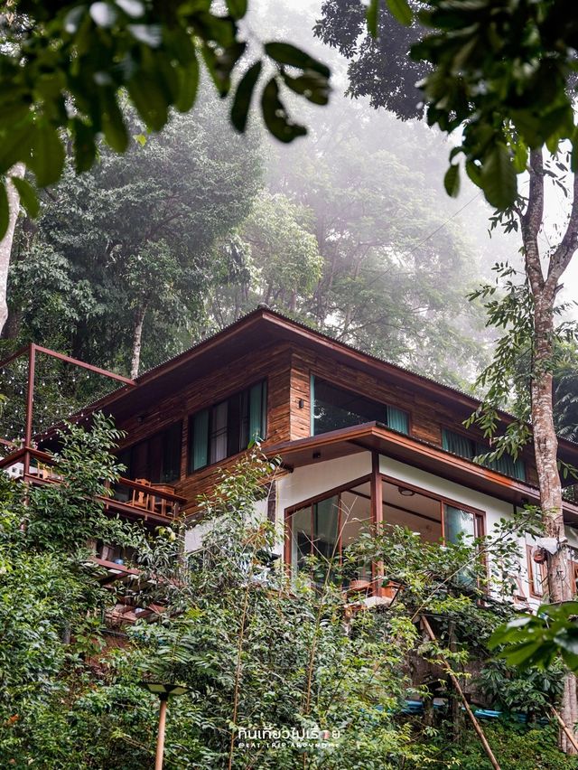 Portare.Home - ป๋อแตแม่กำปอง เชียงใหม่⛰