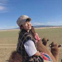 훼손되지않은 자연🏞몽골에서 낙타타기🐫