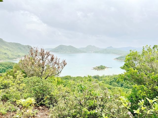 高棚頂
