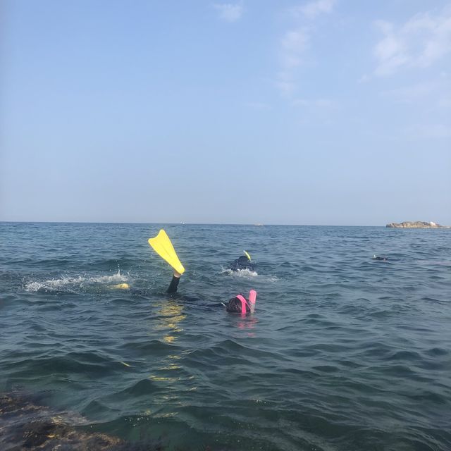 양양 남애항에서 즐긴 물놀이🌊 그리고 횟집 추천!