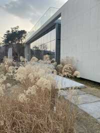 따뜻함이 가득한 공간, 부산 카페 공지 🌾