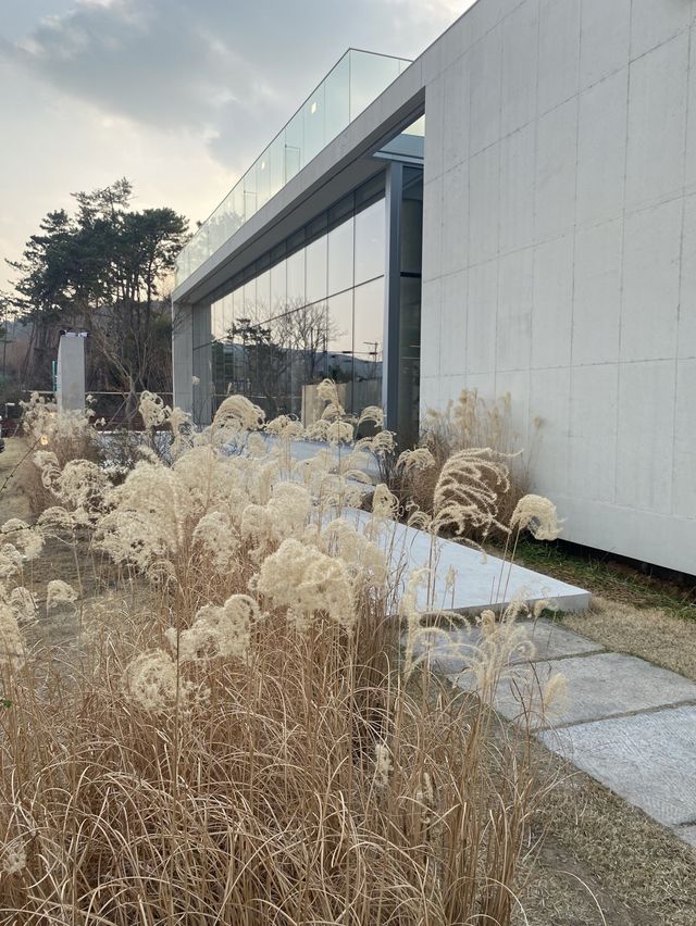 따뜻함이 가득한 공간, 부산 카페 공지 🌾