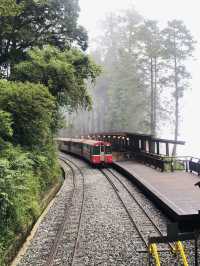 Alishan - Shenmu station 