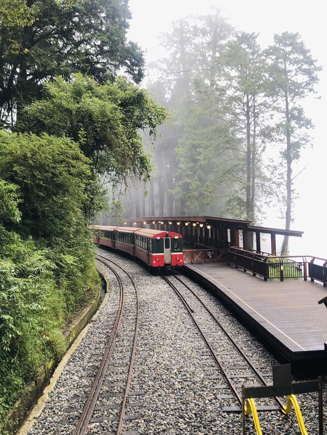 Alishan - Shenmu station 