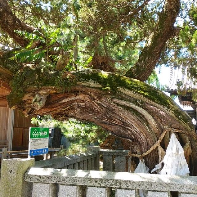 兵庫県のブライダル都市にある厳かな高砂神社
