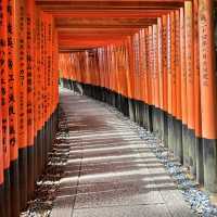 【京都】京都といえば！一度は訪れたいお稲荷さん