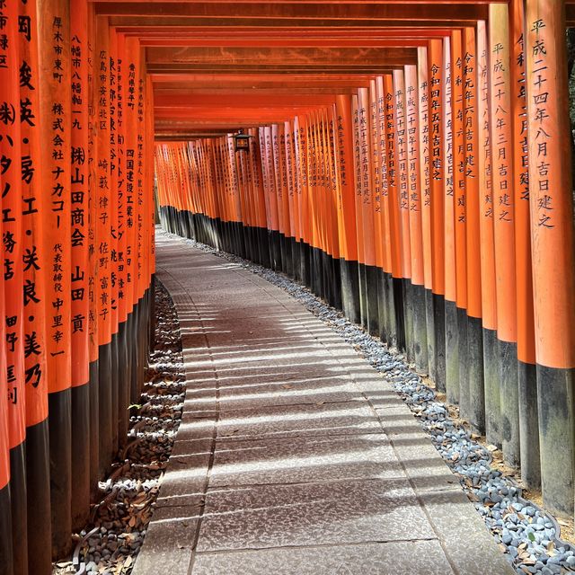 【京都】京都といえば！一度は訪れたいお稲荷さん