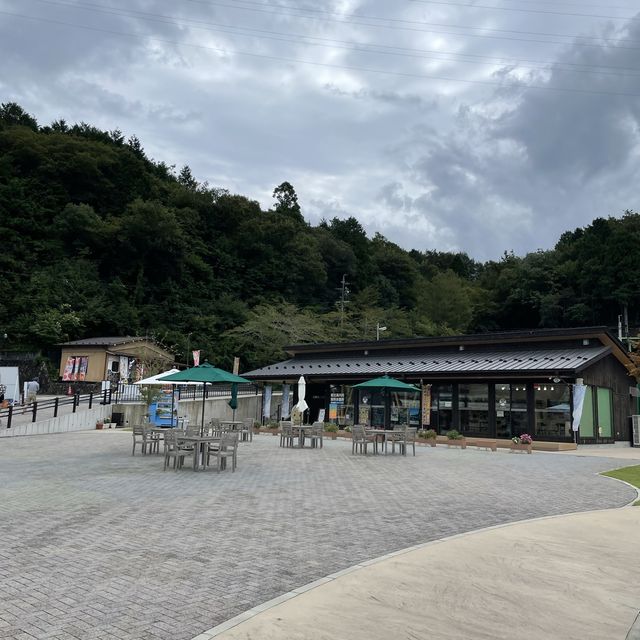 【岐阜県】秋の恵那峡へ！