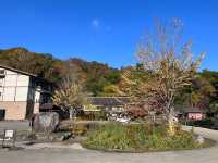 【青森】リフレクションの絶景✨蔦沼の紅葉