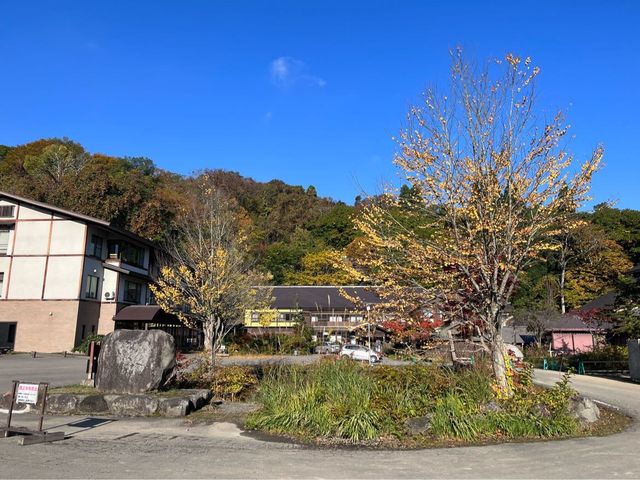 【青森】リフレクションの絶景✨蔦沼の紅葉