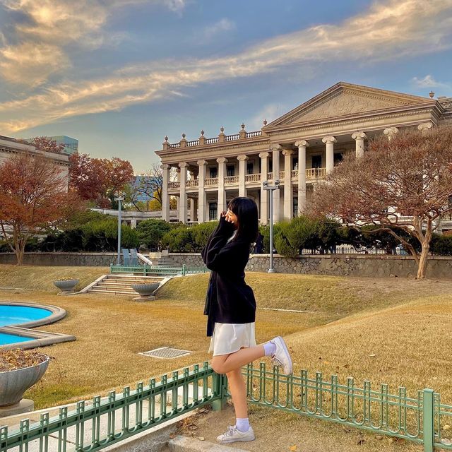 덕수궁에서 보는 가을 🍁