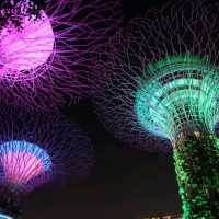 garden by the bay สิงคโปร์